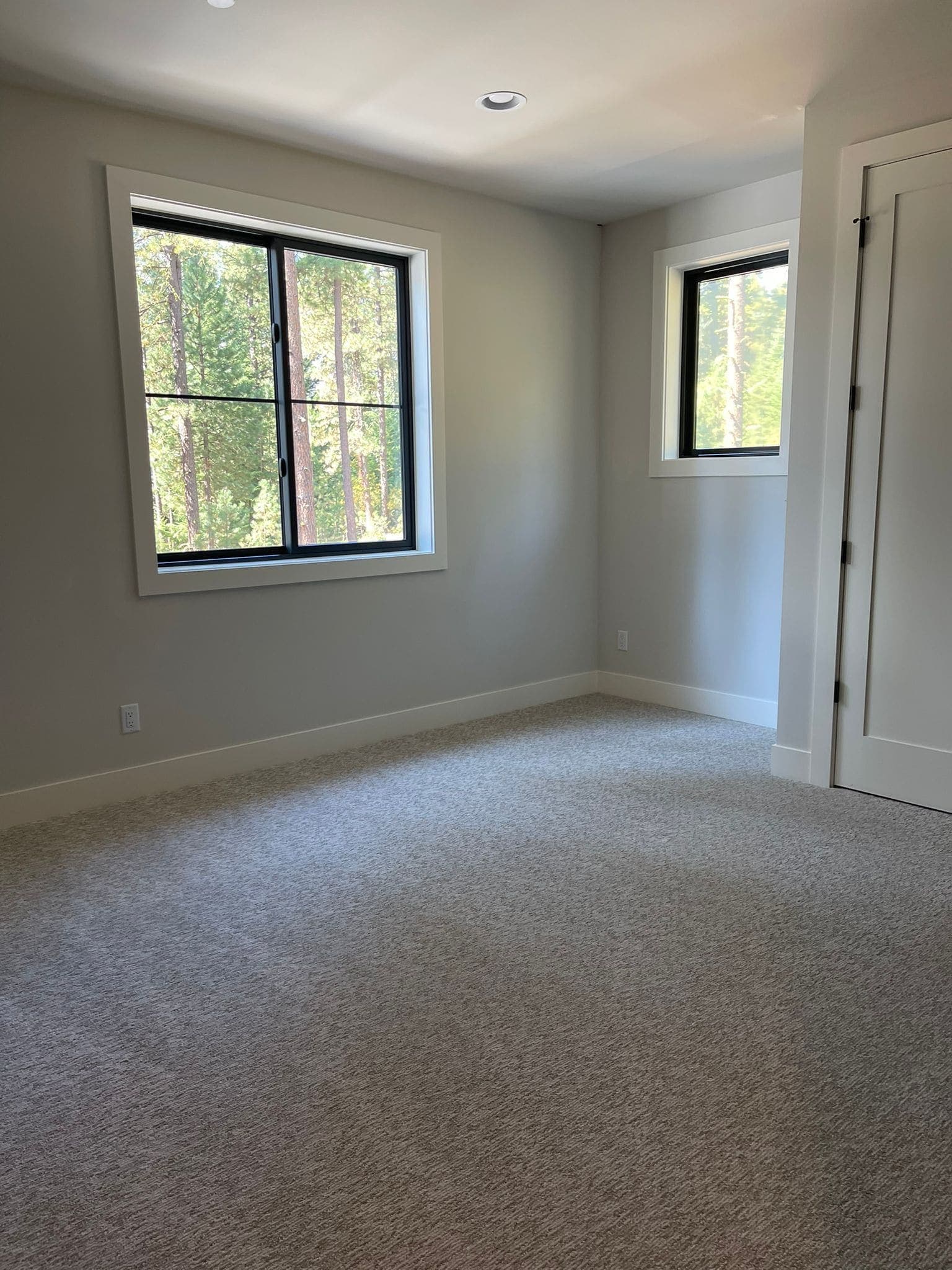 Professional Carpet Cleaning in Woodinville and Kirkland