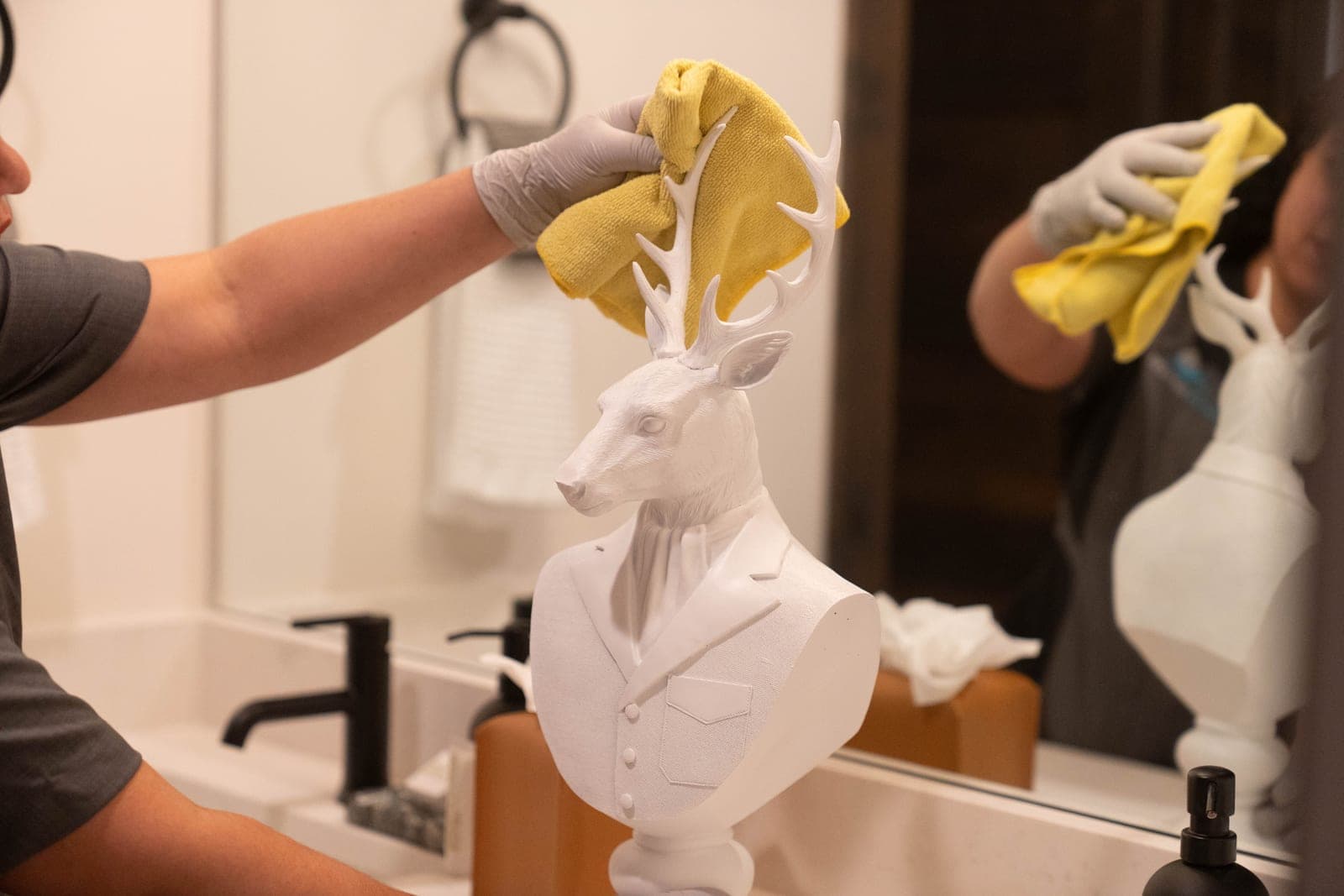 Bellevue Cleaning Services service result