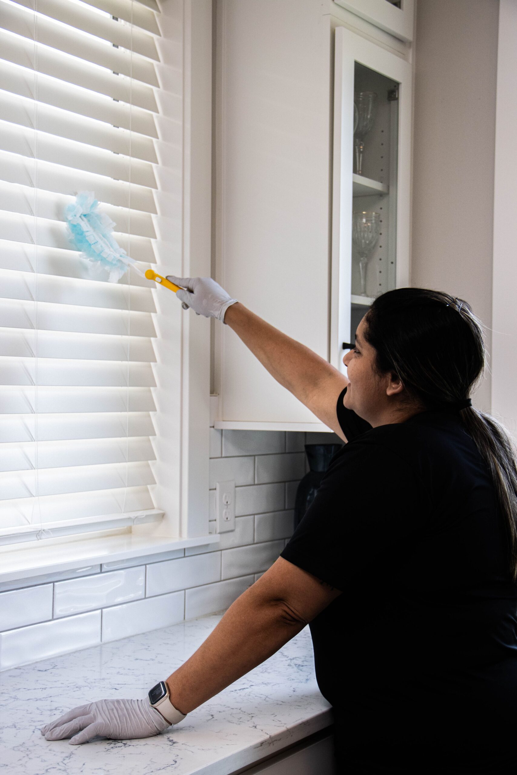 Cleaning professional